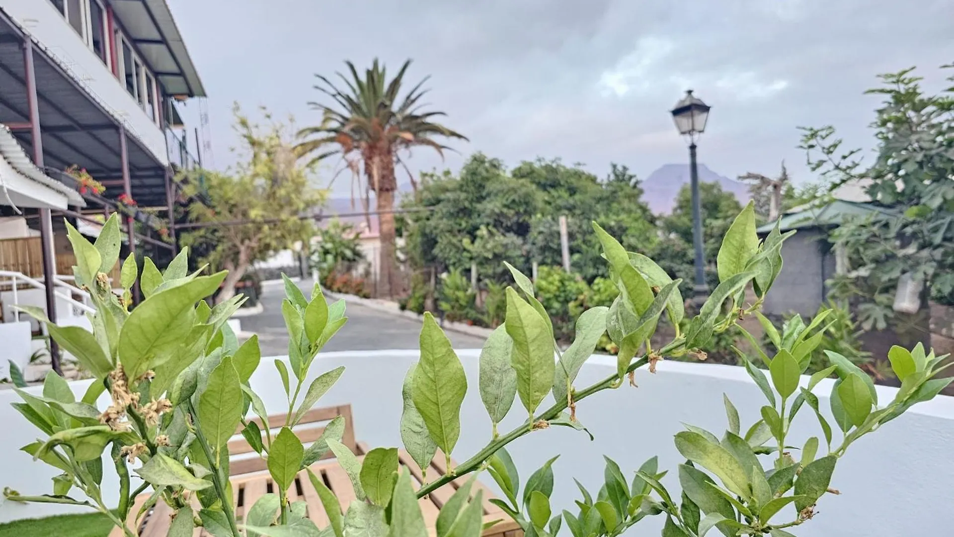 Beautiful Sea View And Pool Finca Atalaya A4 In Costa Adeje Appartement Costa Adeje (Tenerife)